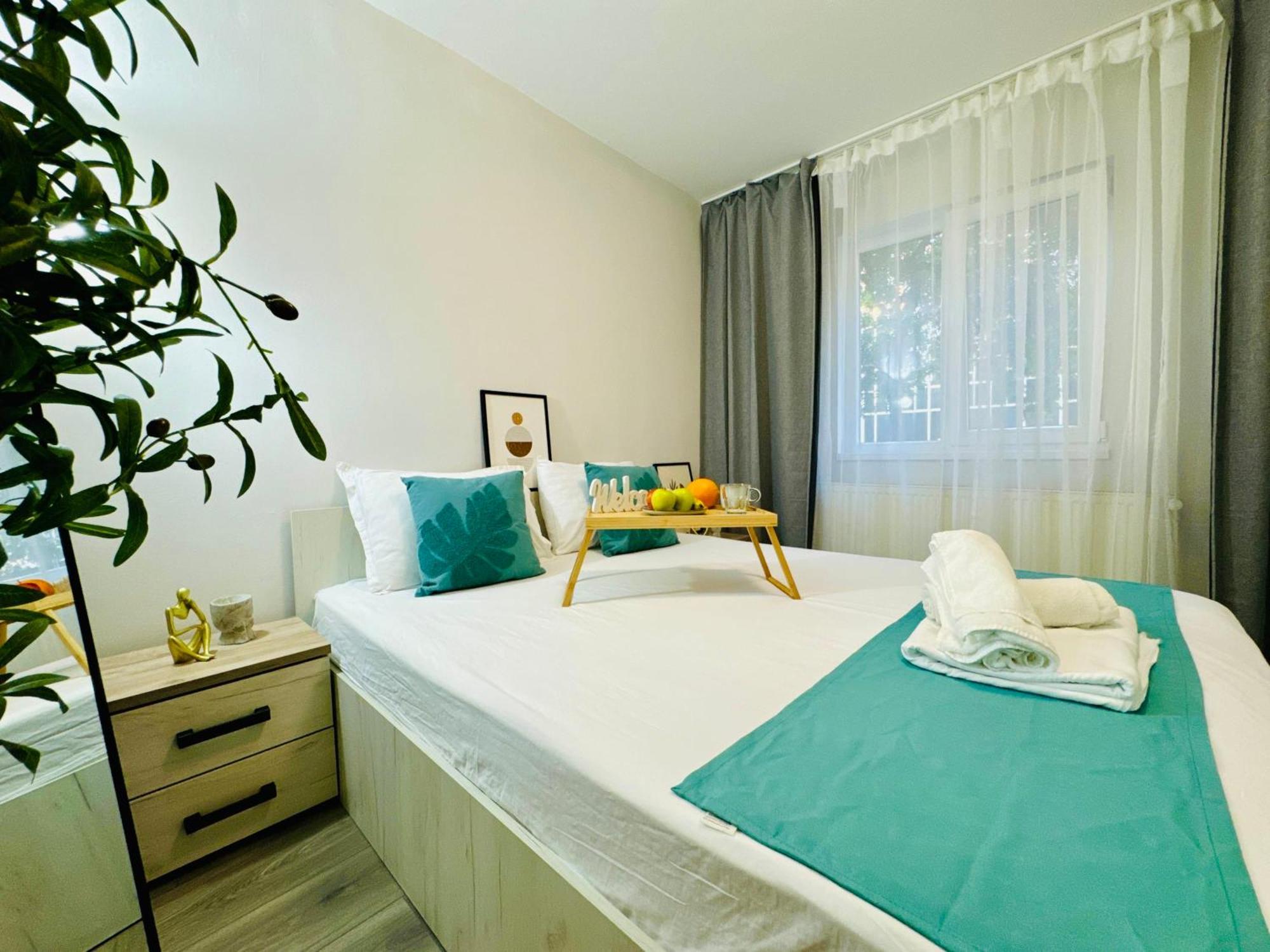Joy City Stay Spacious Comfortable 蒂米什瓦拉 外观 照片