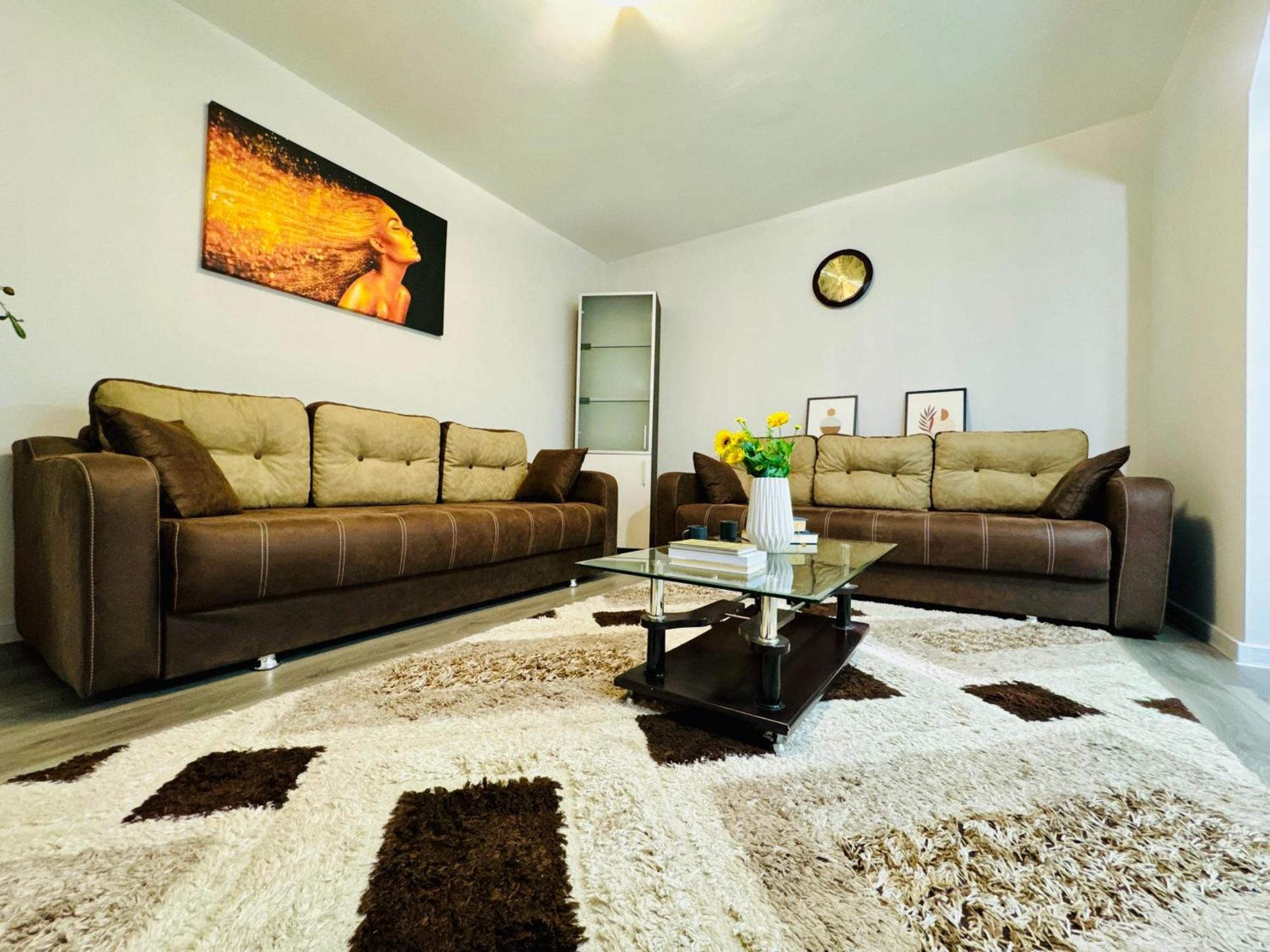 Joy City Stay Spacious Comfortable 蒂米什瓦拉 外观 照片