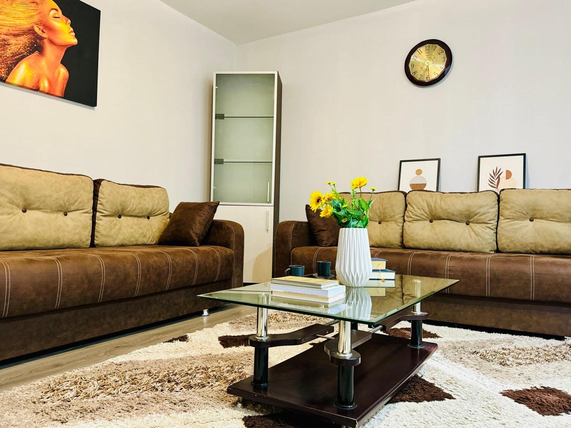 Joy City Stay Spacious Comfortable 蒂米什瓦拉 外观 照片